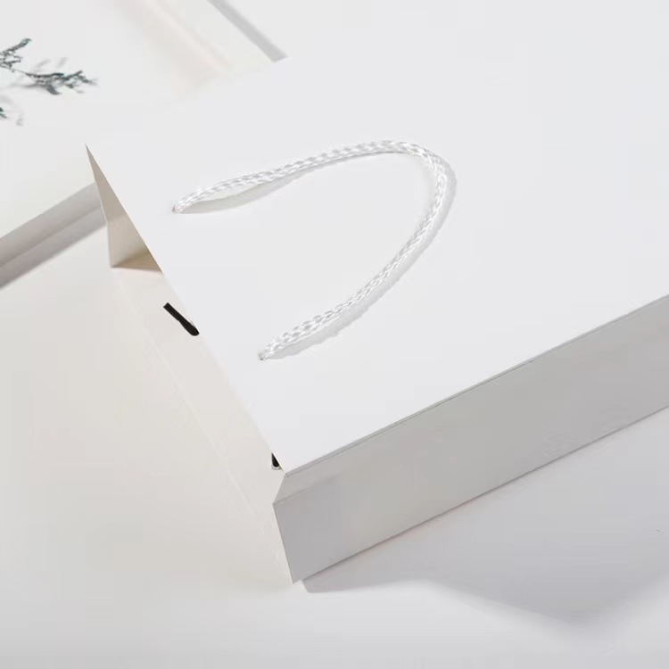 Wholesale Custom Printed Logo Packaging  bags Gift Craft Shopping Paper Bag With Ribbon Handles